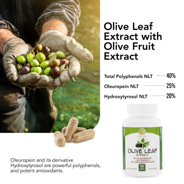 Olive Leaf Extract - Image 4