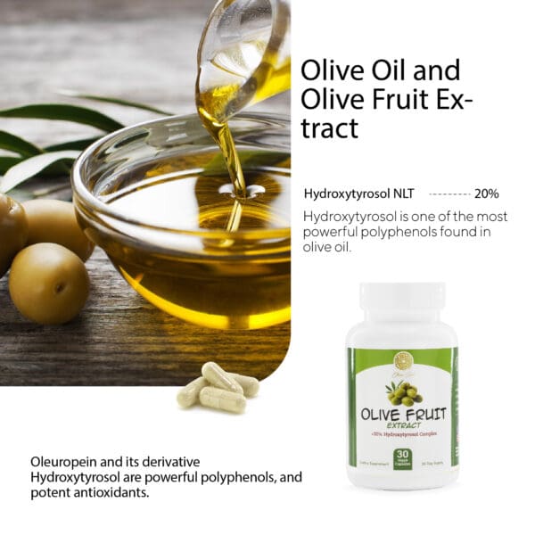 Olive Fruit Extract - Image 4